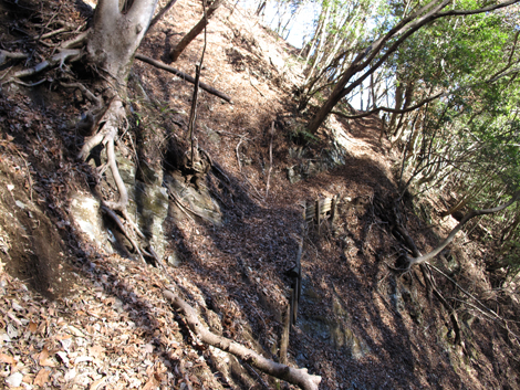 20190121hike (57)